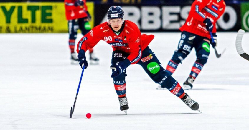 Ted Hedell, Ted Hedell Edsbyn, Edsbyn Bollnäs bandy, Champions cup bandy